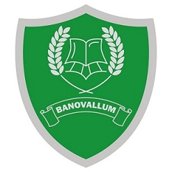 Logo for Banovallum School Horncastle