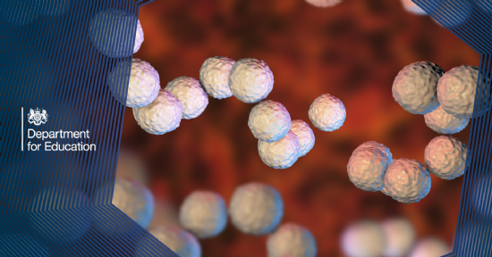 Scarlet Fever - What to look for and action to take